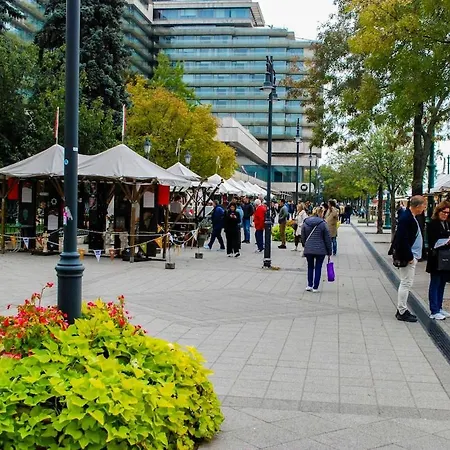 Apartmán In Centre Of Budapešť